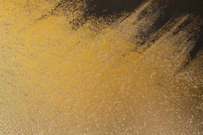 Berkeley Designs Abstract Design 55 - Belmont Interiors